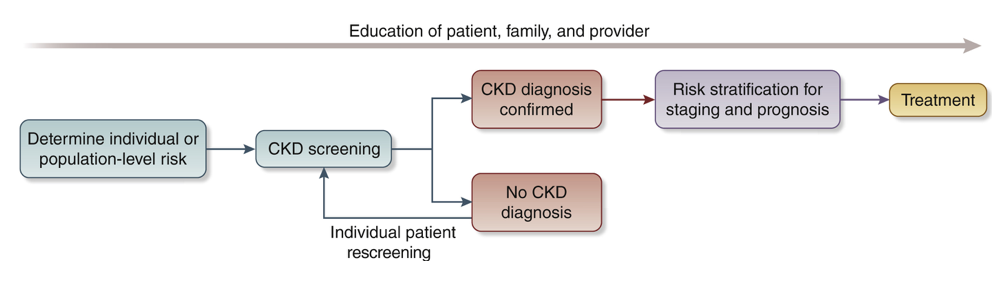 A diagram of a patient

Description automatically generated