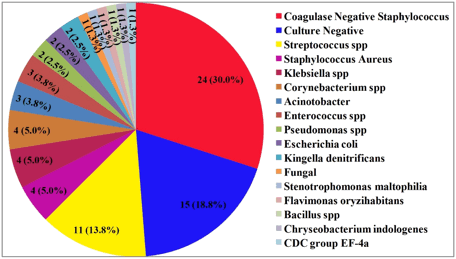 Description: Gráfico, Gráfico circular  Descripción generada automáticamente